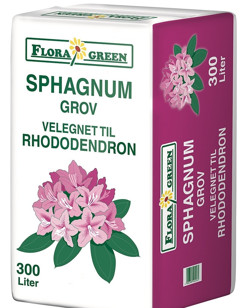 flora grov sphagnum