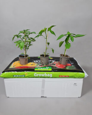 kapilaerkasse_planter