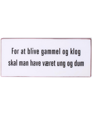 Metalskilt med tekst. "For at blive gammel og klog skal man have været ung og dum"