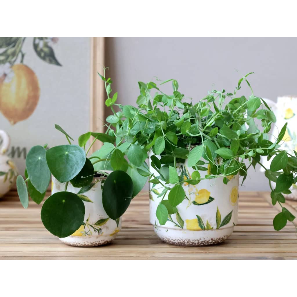 limone skjuler m. blomstermotiv