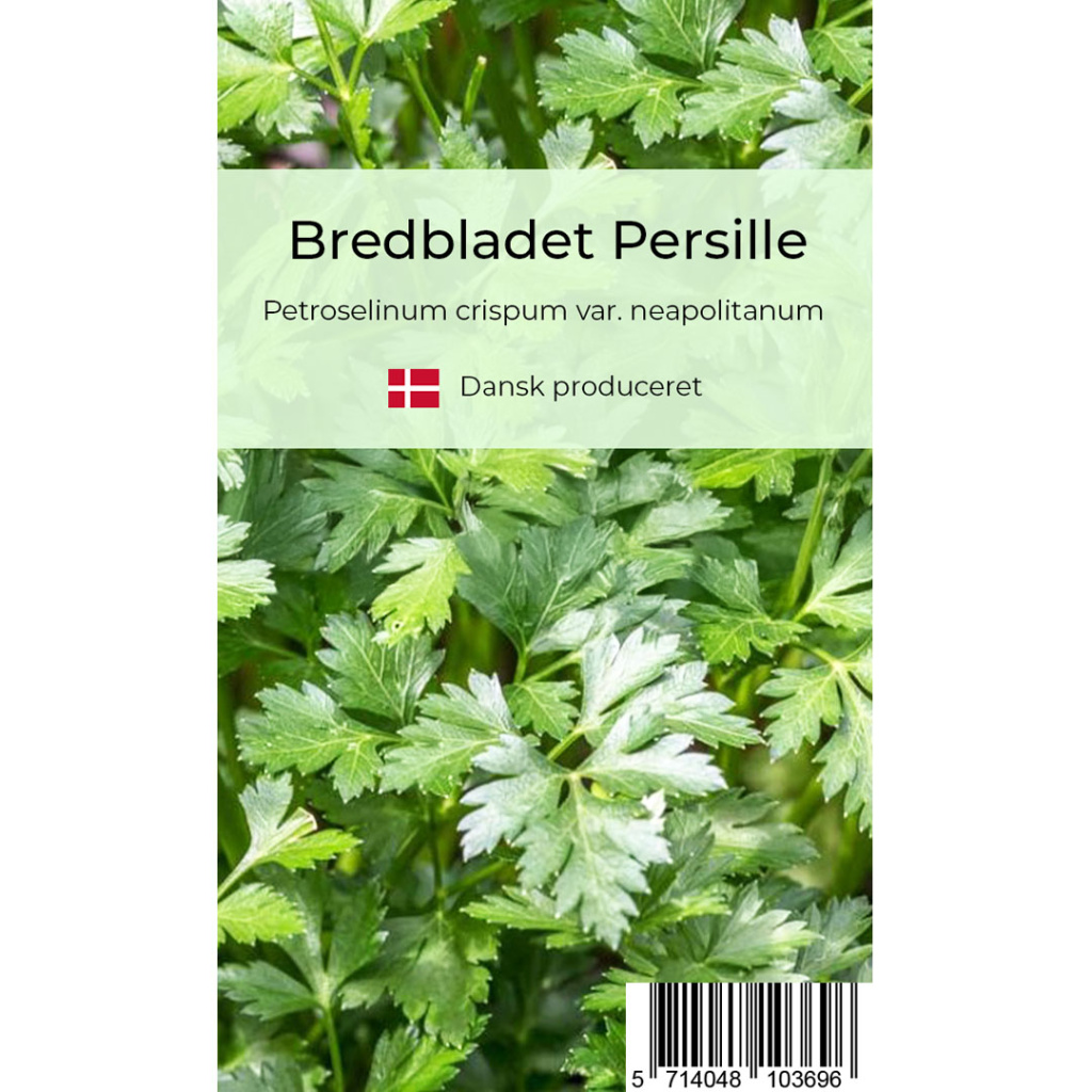 Bredbladet persille