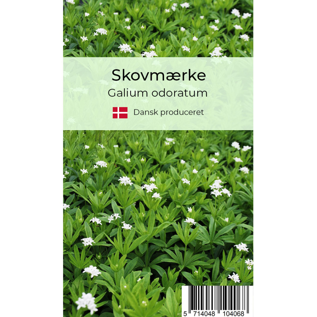 Skovmærke krydderurt