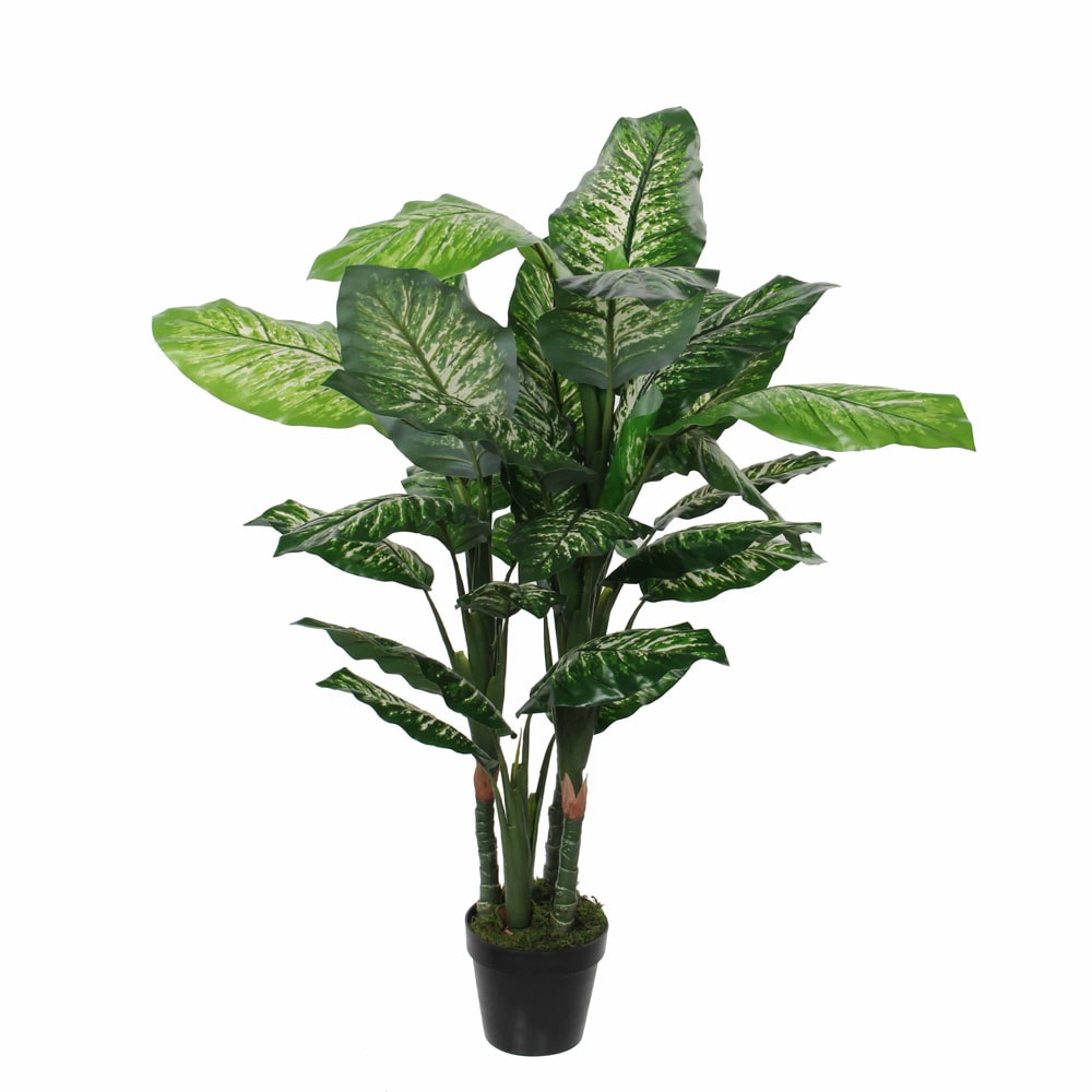 Kunstig sigøjnerblad - Dieffenbachia