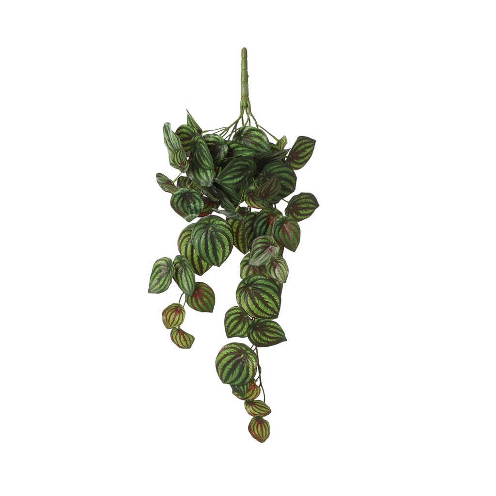 Kunstig peperomia