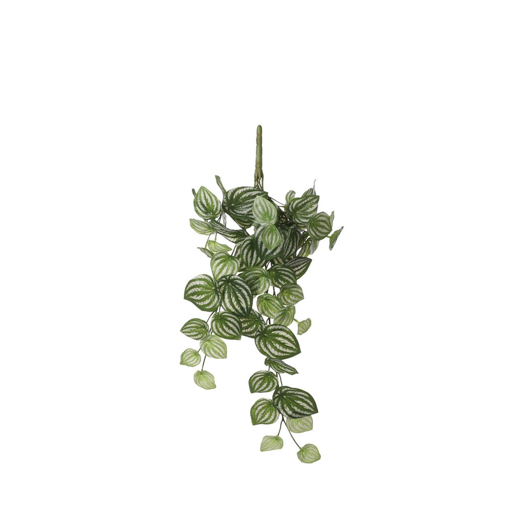Kunstig peperomia