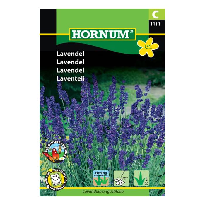 Lavendel frø