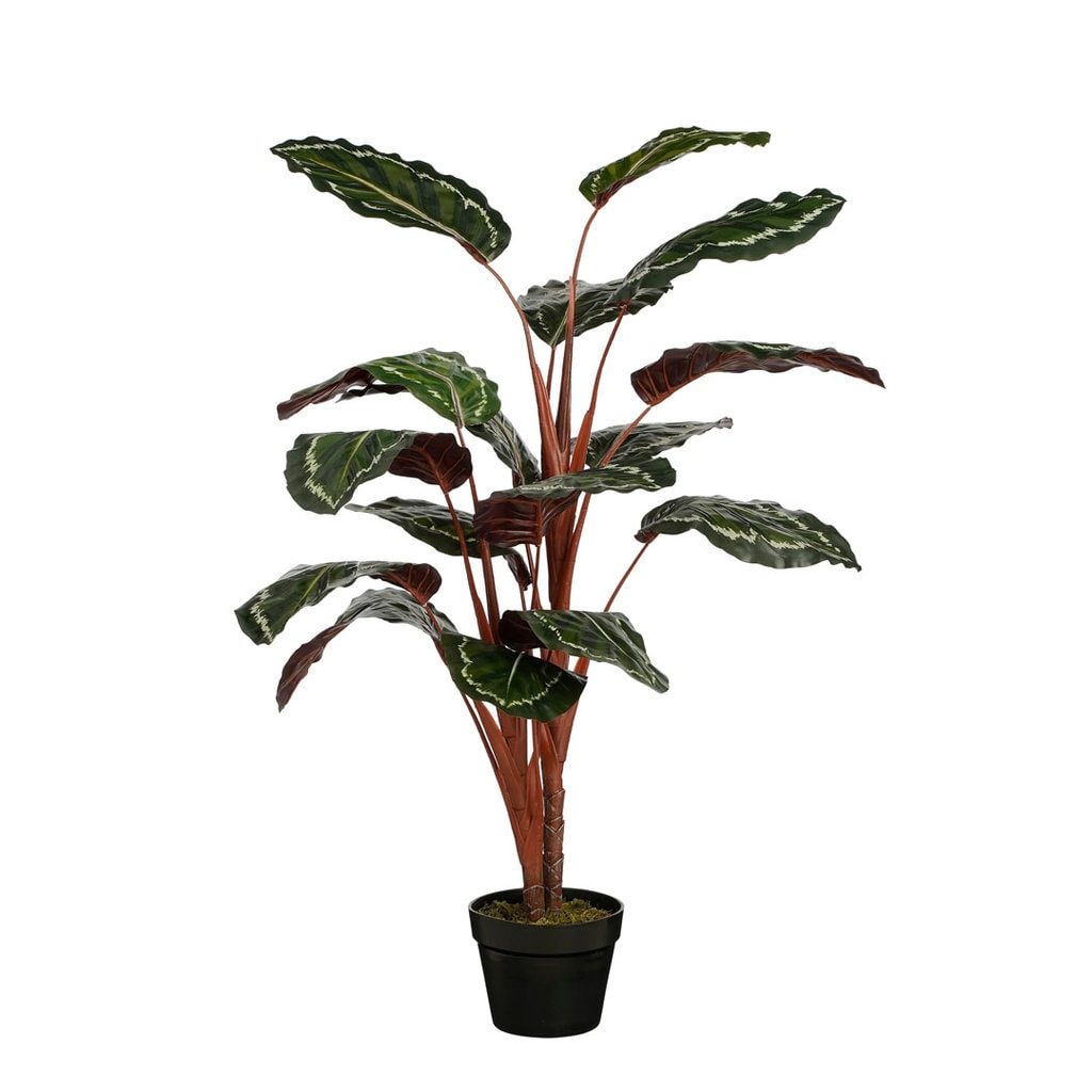 Kunstig calathea