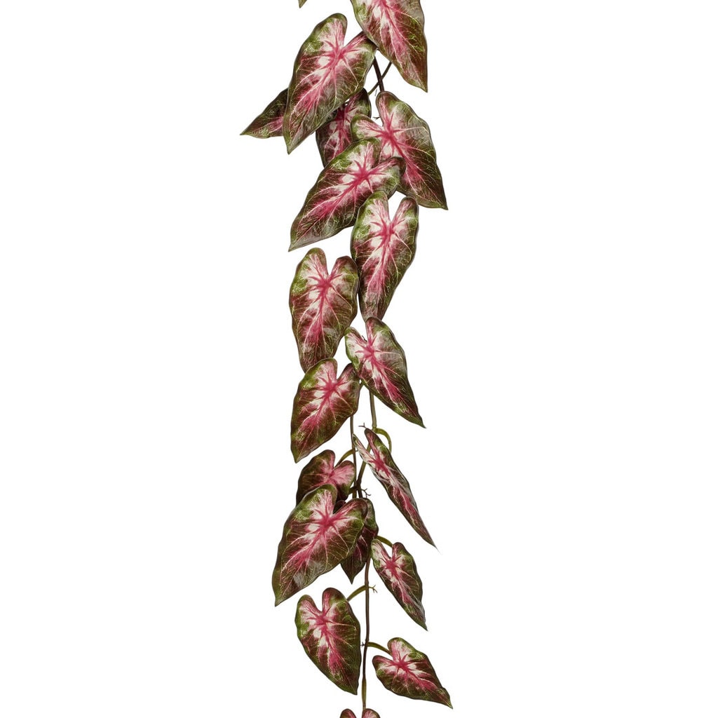 Kunstig caladium