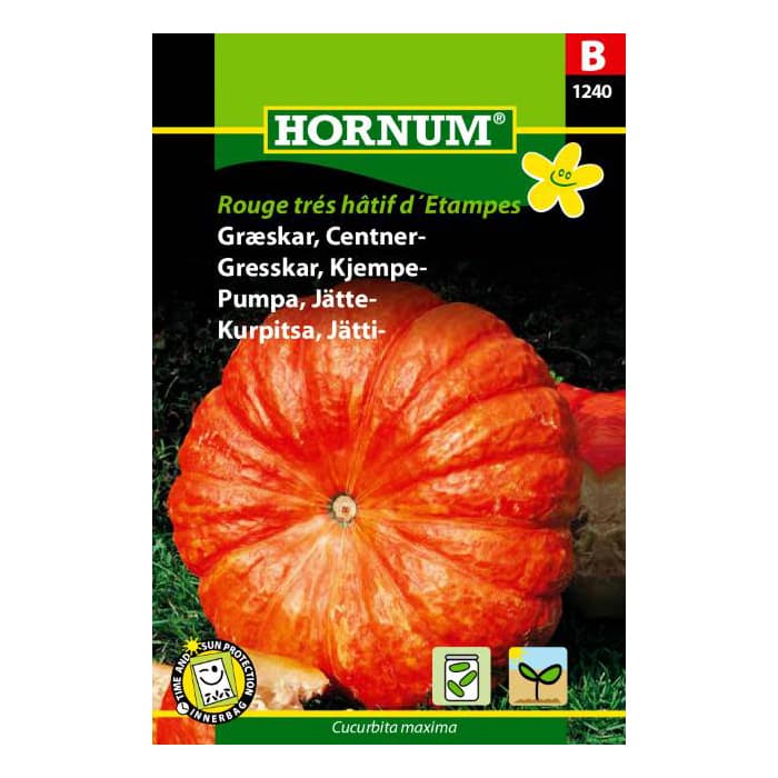 Græskar, Centner frø - Rouge vif d'Etampes