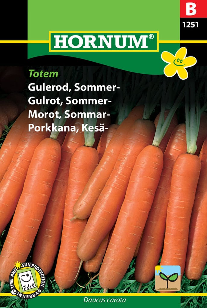 Gulerod, Sommer frø - Amsterdam 2