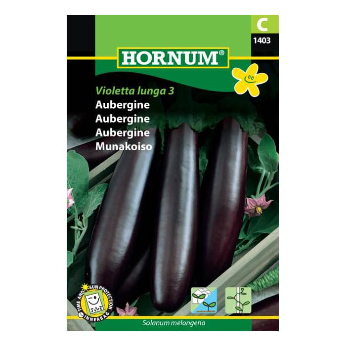 Aubergine frø - Violetta lunga 3