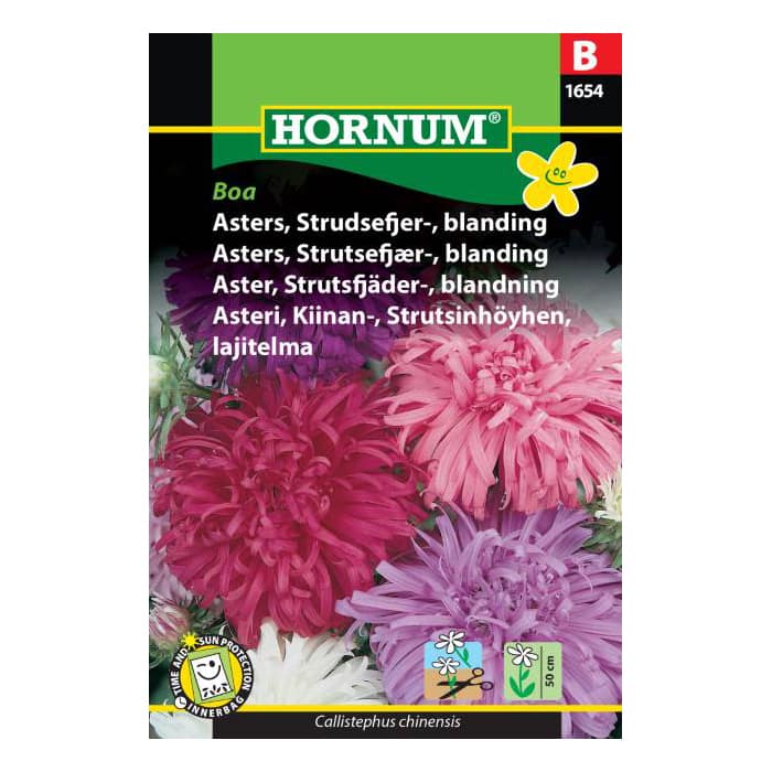 Asters frø - Strudsefjer - Boa