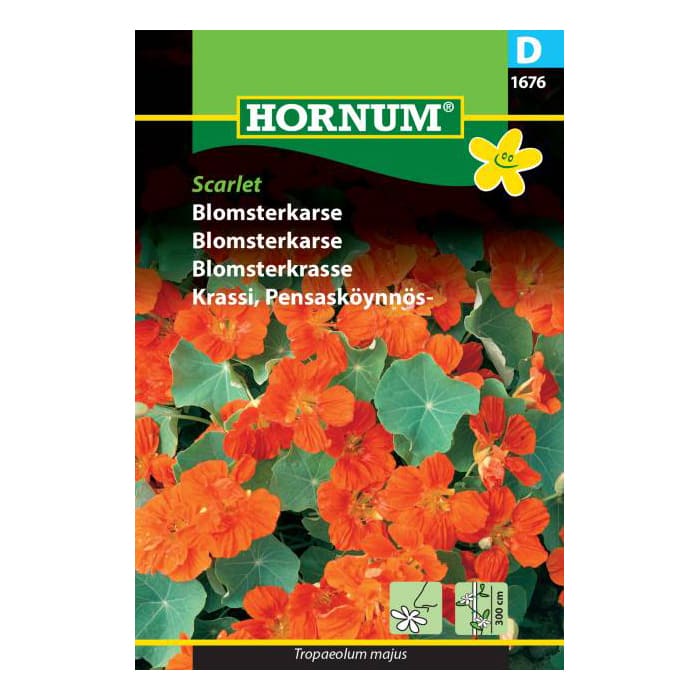 Blomsterkarse frø - Scarlet