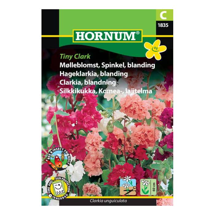 Spinkel Mølleblomst frø - Blanding - Tiny Clark