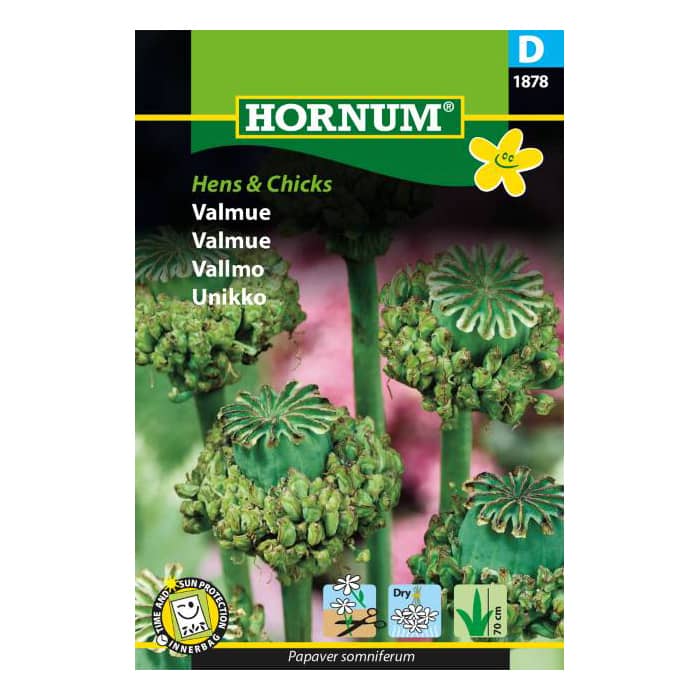 Valmue frø - Hens & Chicks