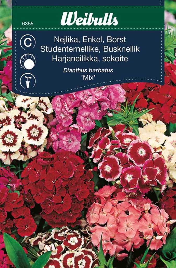 Studenternellike frø  'Mix'