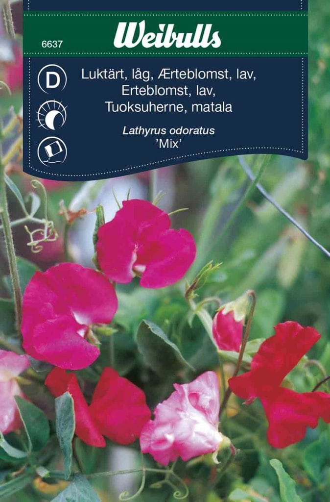 Ærteblomst frø lav mix