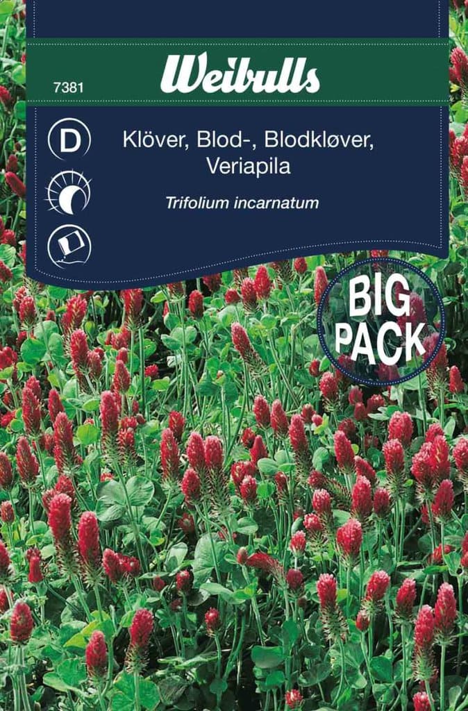 Blodkløver Big Pack frø