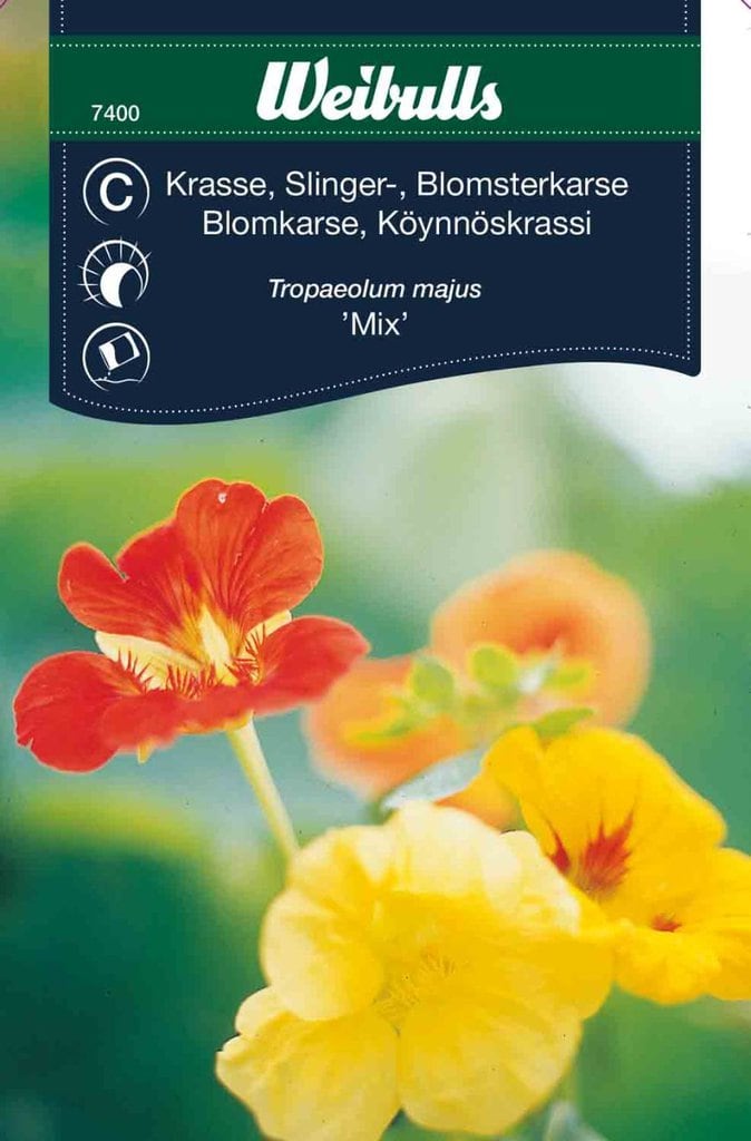 Blomsterkarse frø, 'Mix'