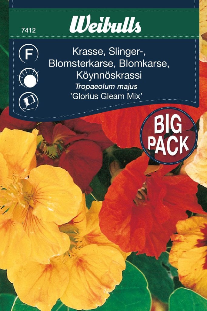 Rød Blomsterkarse frø, 'Glorius Gleam Mix'