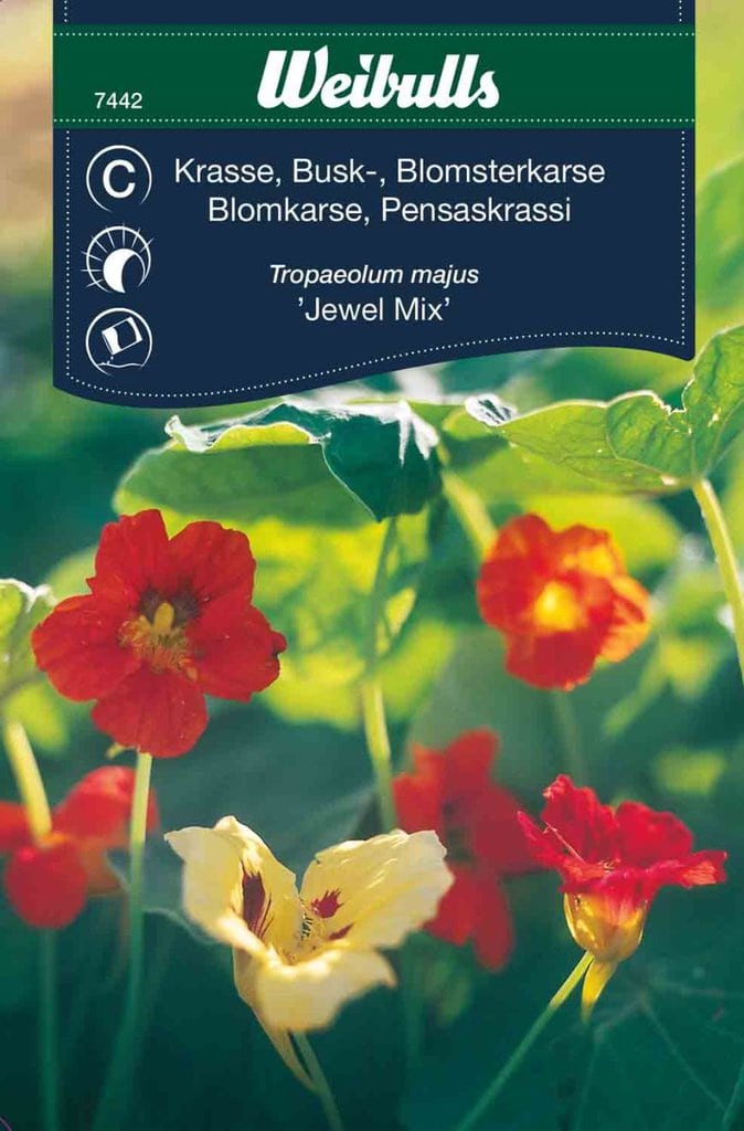 Blomsterkarse frø 'jewel Mix'