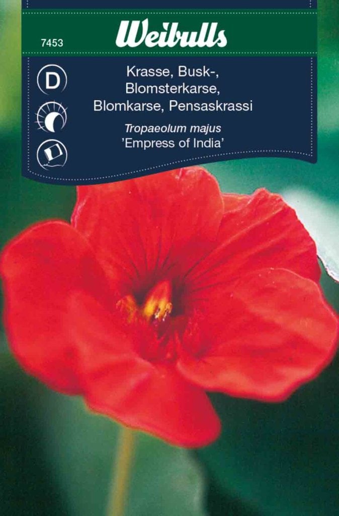 Blomsterkarse frø, 'Empress of India'