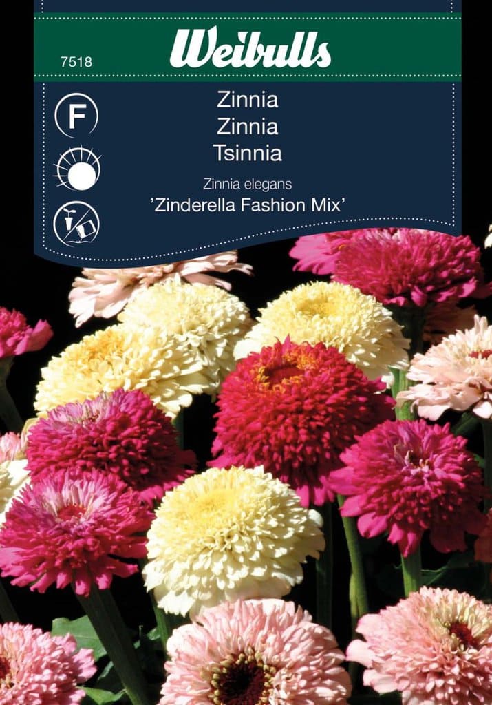 Zinnia frø, 'Zinderella Fashion mix'