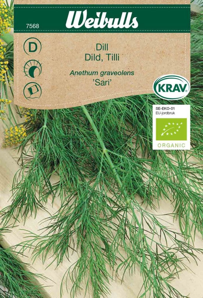 Dild frø, 'Sari'
