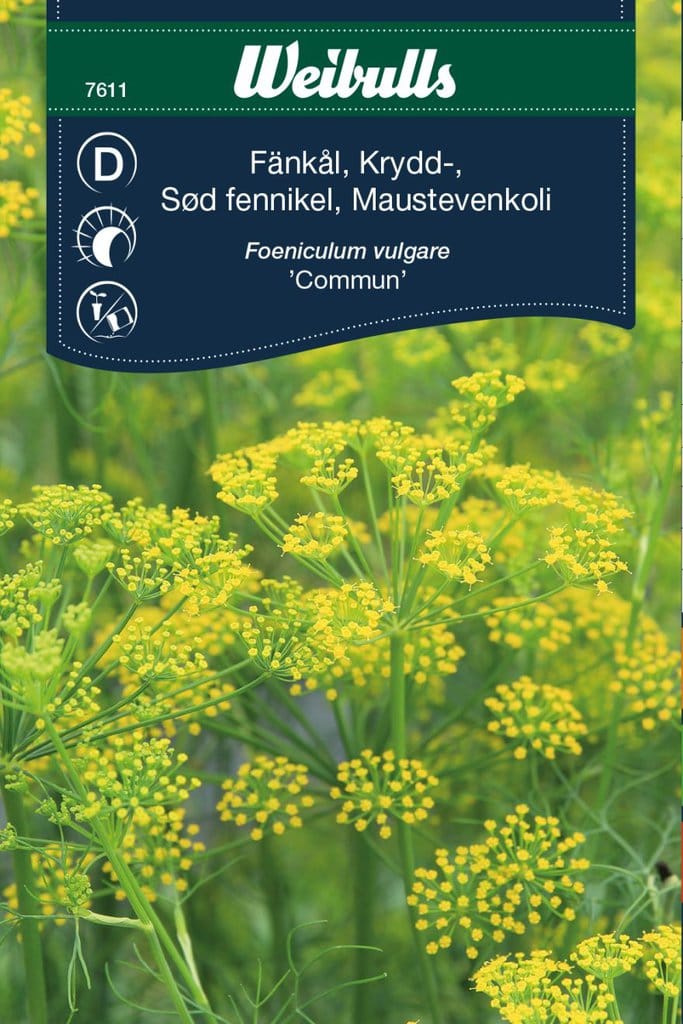 Sød fennikel frø 'Commun'
