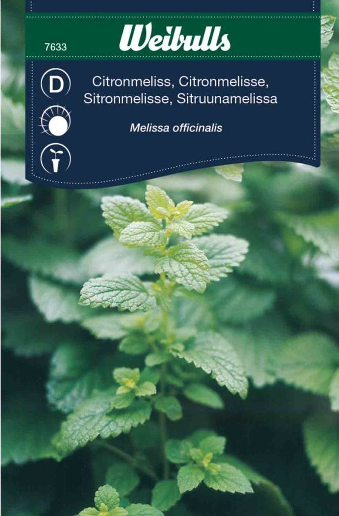 Citronmelisse frø