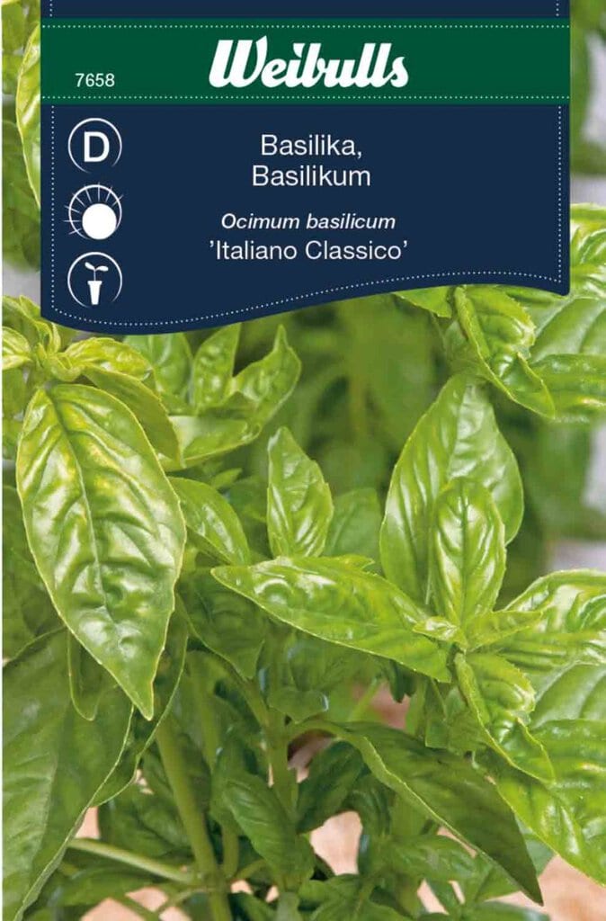 Basilikum frø 'Italiano Classico'
