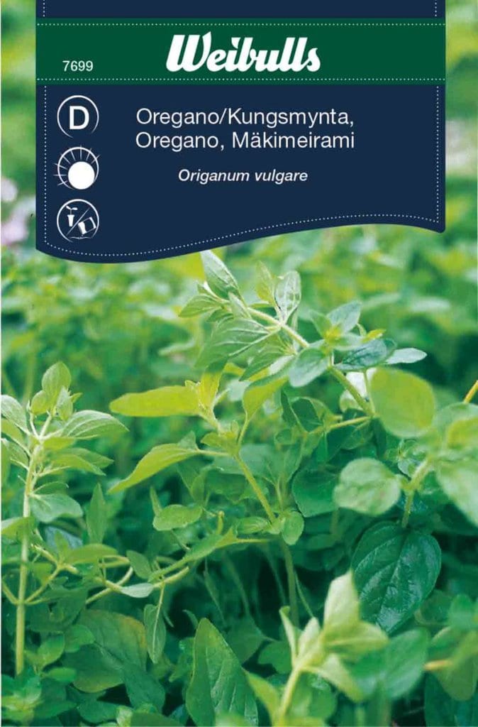 Oregano frø