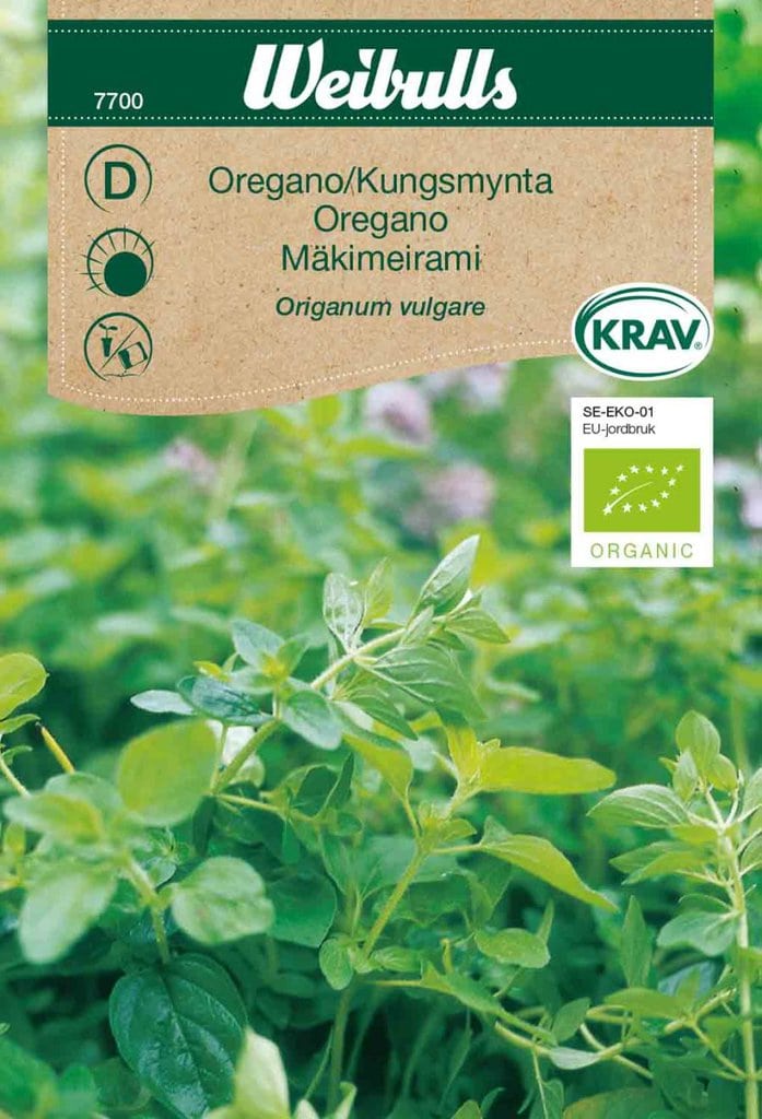 Økologisk oregano frø