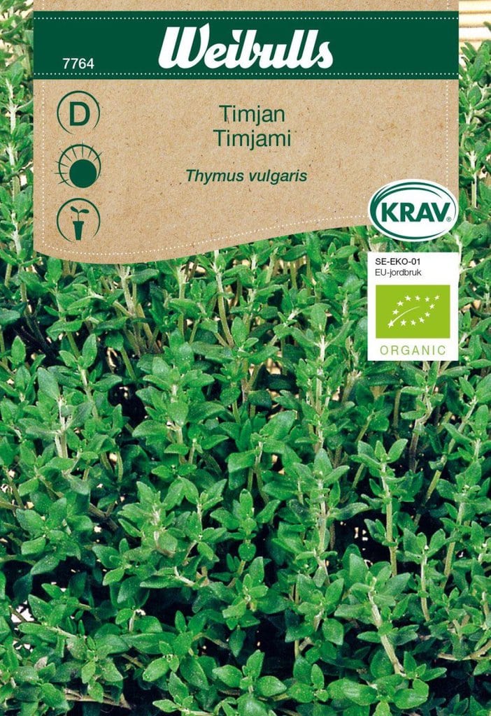 Timian frø