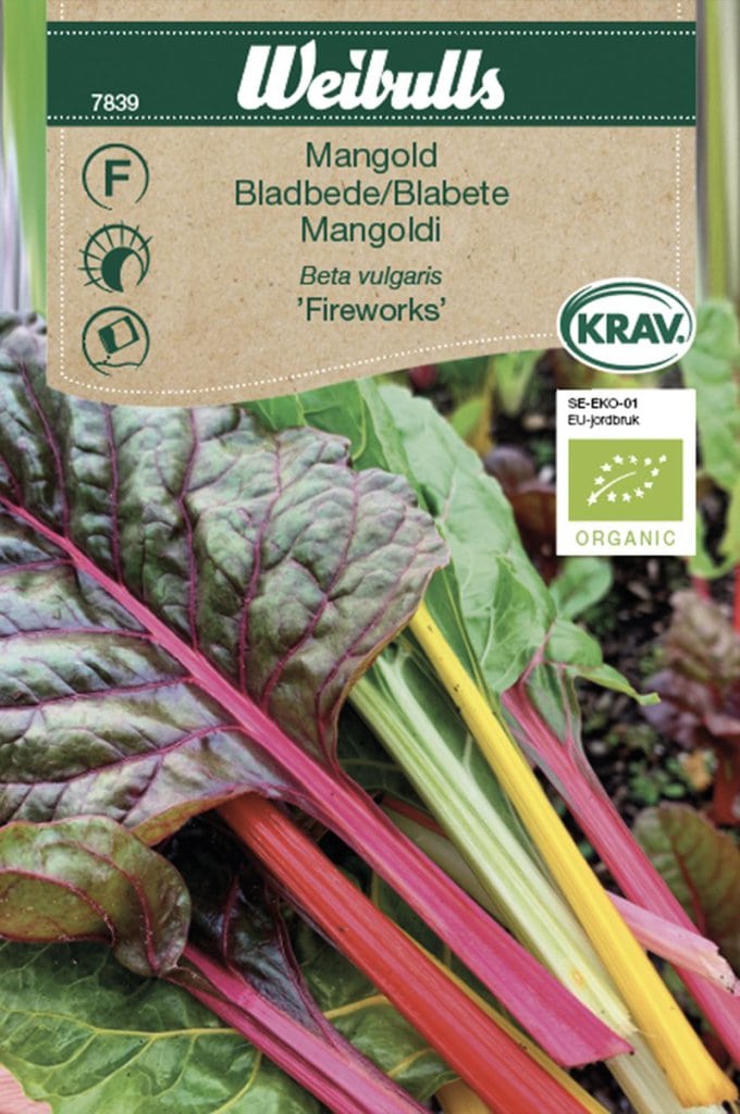 Bladbede frø, 'Fireworks'