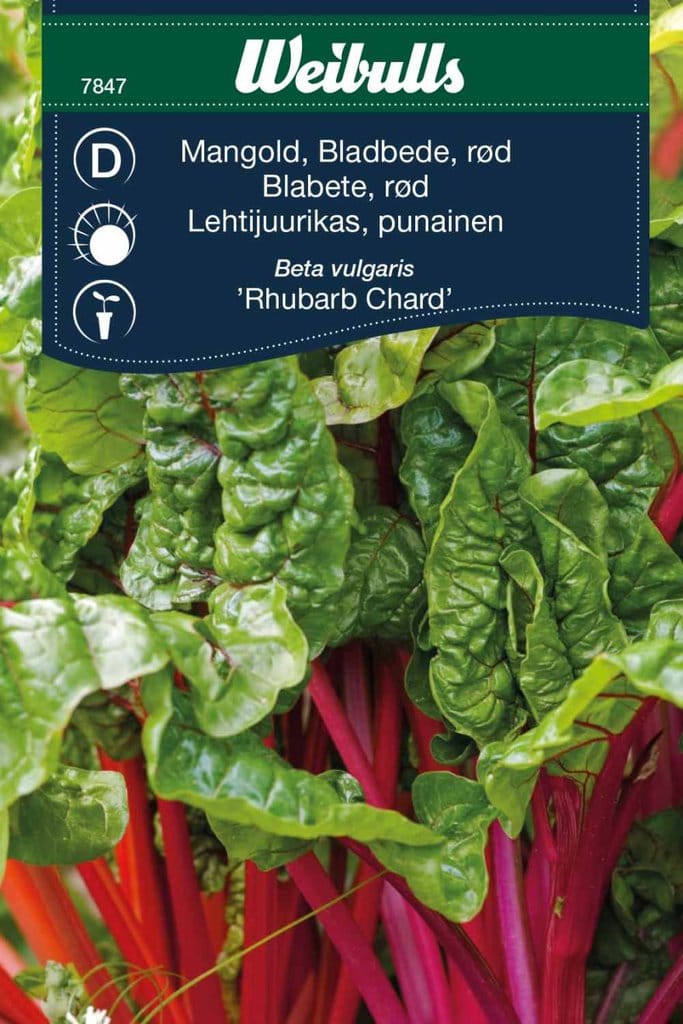 Bladebede rød frø, 'Rhubarb Chared'
