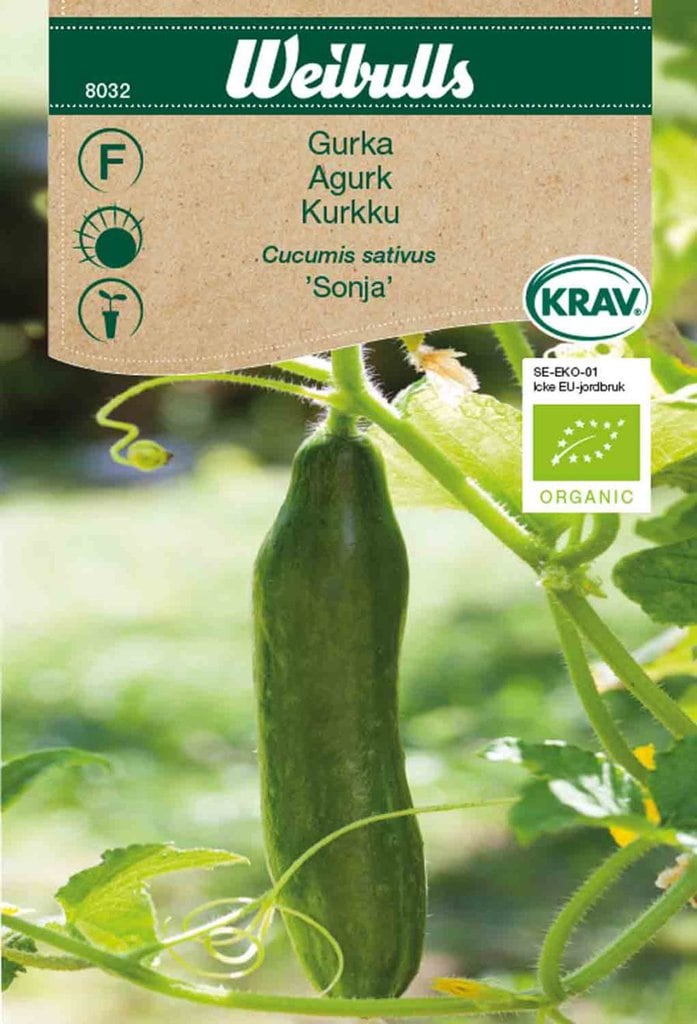 Agurk frø, 'Sonja'