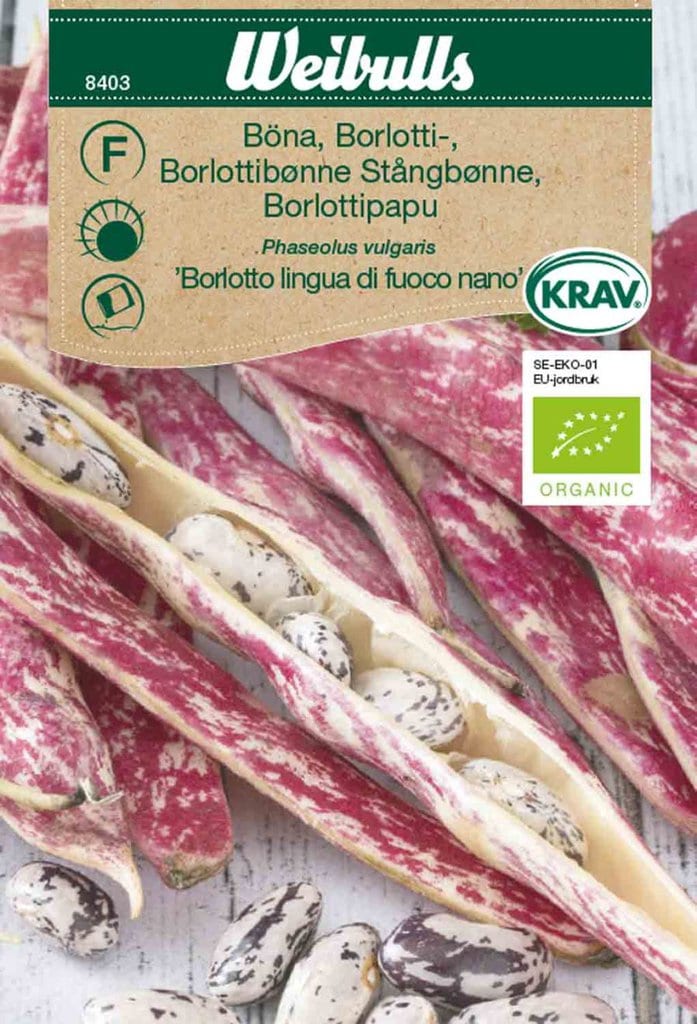 Bønne frø, 'Borlotto'