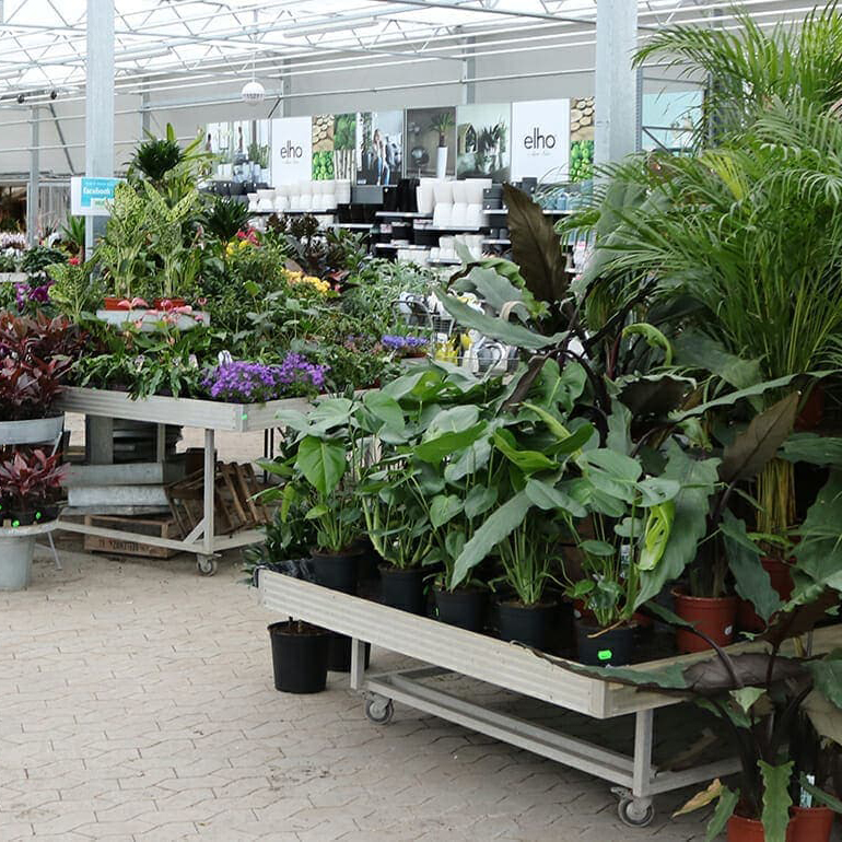 Stueplanter